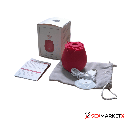 Succionador Rose Recargable
