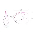 Lovense-lush3-vibrador4.webp