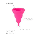 Copa-menstrual-lily-cup-compact-b3.webp