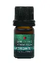 ELECTRIZANTEFRIOTARRO.webp