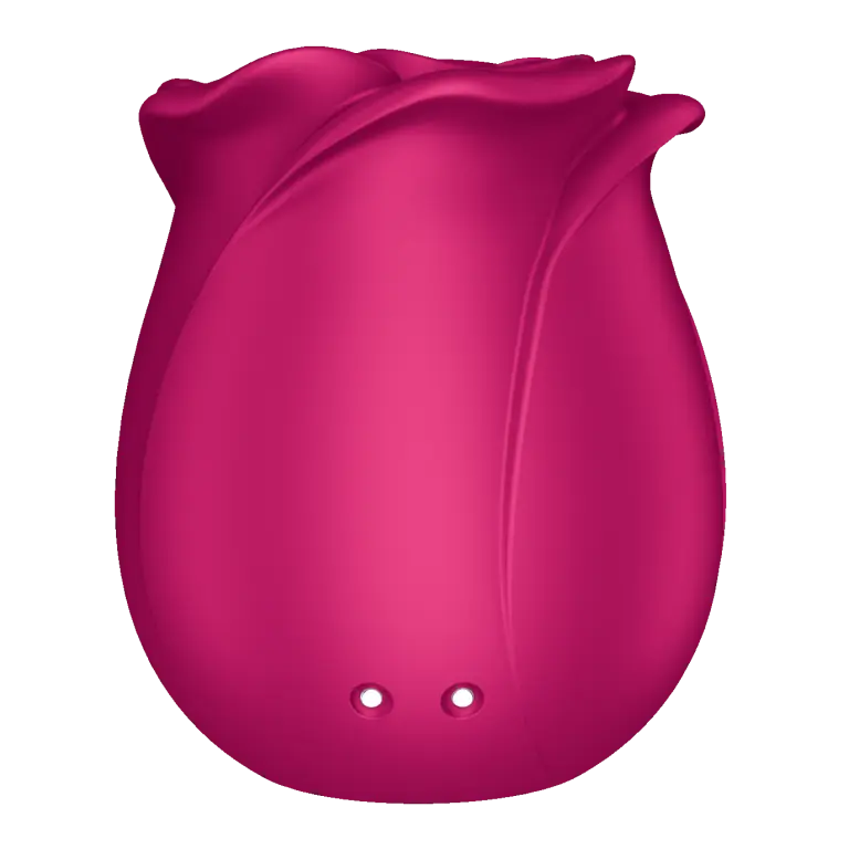 Satisfyer Classic Blossom_Sexmarketx_5.webp