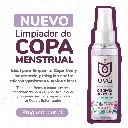 LimpiadorComerciales (1).webp